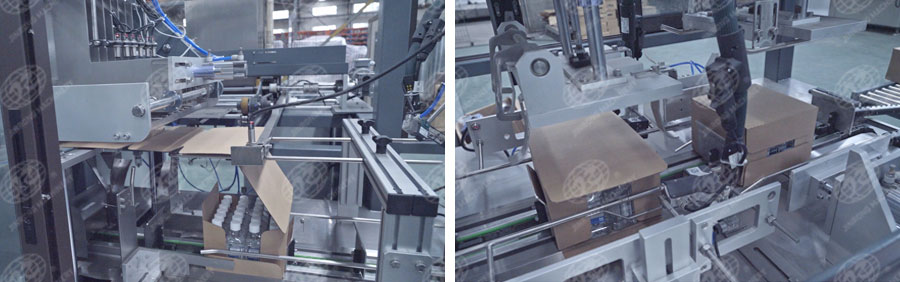 全自動一片式裝箱機(jī)-5